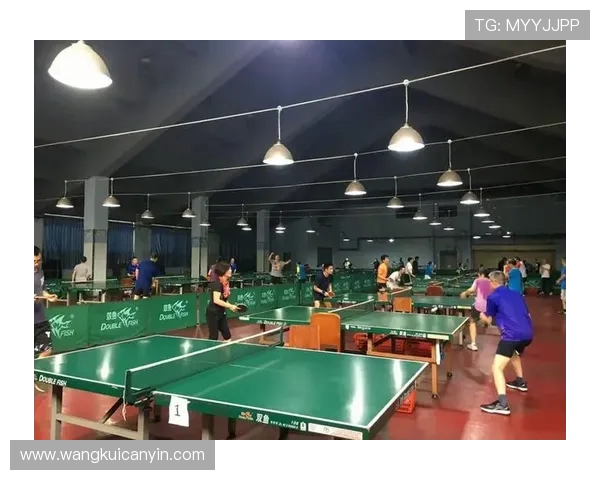 成都乒乓球队技术实力强劲荣登全国排行榜第九名